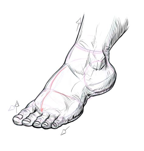 Jun 13, 2020 · How to draw simple feet - How to draw the front and sole of a foot for anime and manga with simple shapes. Dawing the feet tutorial and the shape of the foot... 